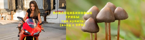 мескалин Осташков