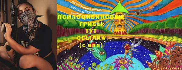 прущие крисы Осинники
