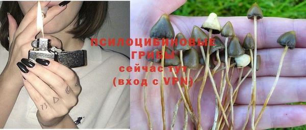 ПСИЛОЦИБИНОВЫЕ ГРИБЫ Нягань