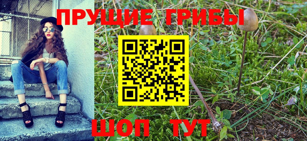 Псилоцибиновые грибы мицелий Лангепас