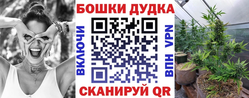 Каннабис планчик Лангепас
